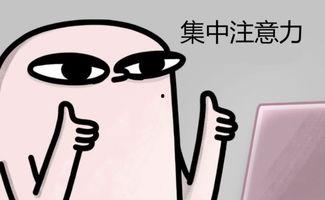 91年单身是什么状况啊,揭秘当代单身族的独特生活状态